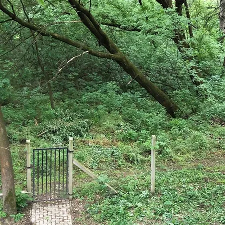 Szoke Tisza Pihenopark
